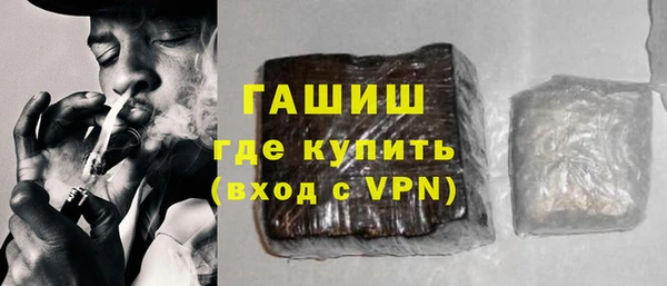 индика Абаза