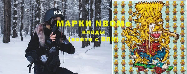 индика Абдулино