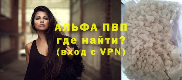 индика Абаза