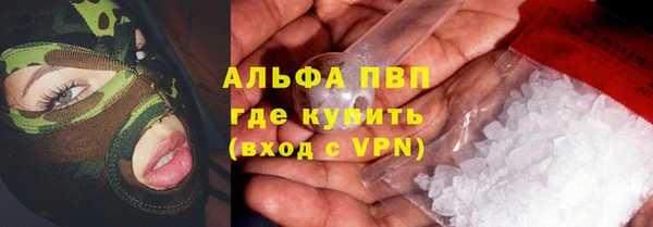 индика Абаза