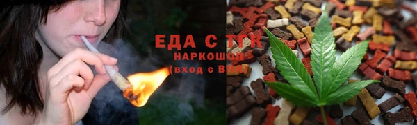 индика Абаза