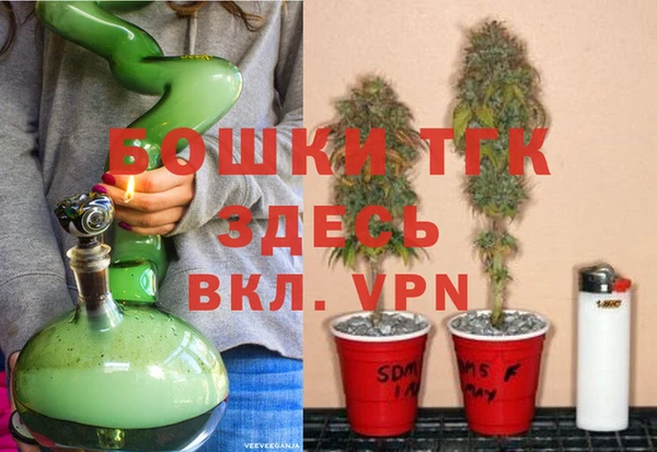 индика Абдулино