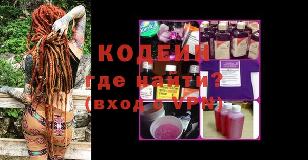 индика Абаза