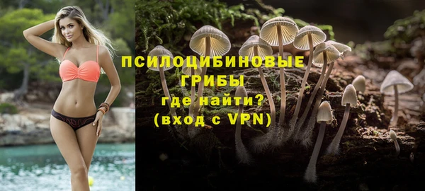 индика Абдулино