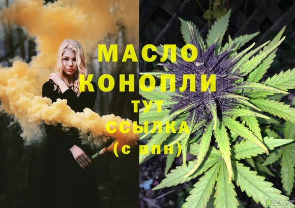 индика Абдулино