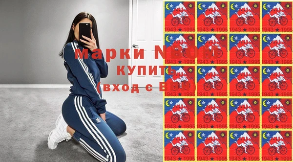 индика Абаза