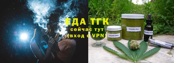 индика Абаза