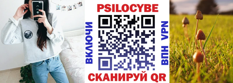 Псилоцибиновые грибы мицелий купить наркотики цена гидра как зайти Зеленодольск