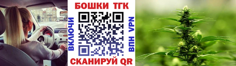 Бошки Шишки план Зеленодольск